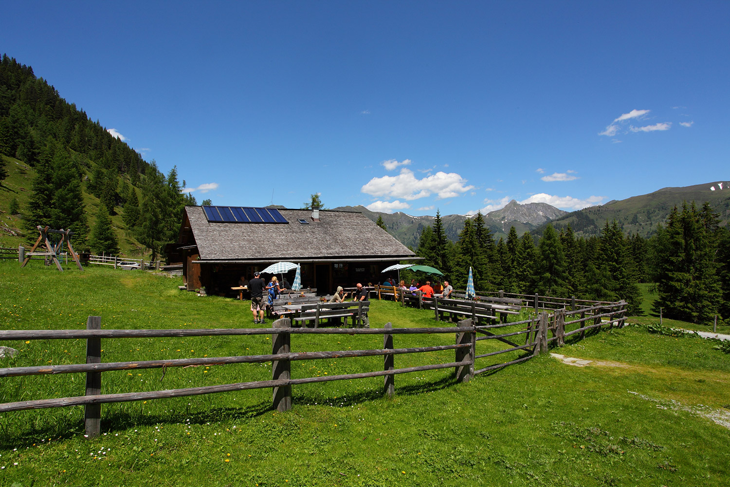 hirschgrubenalm-sommer-wandern.jpg