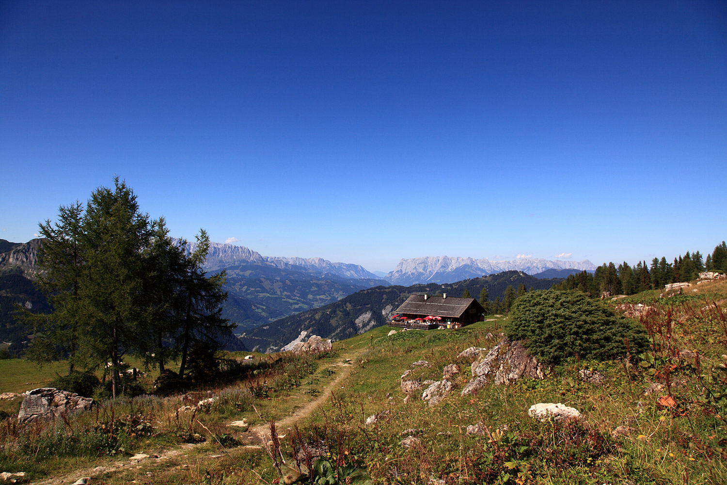 saukaralm-sommer-grossarltal.jpg