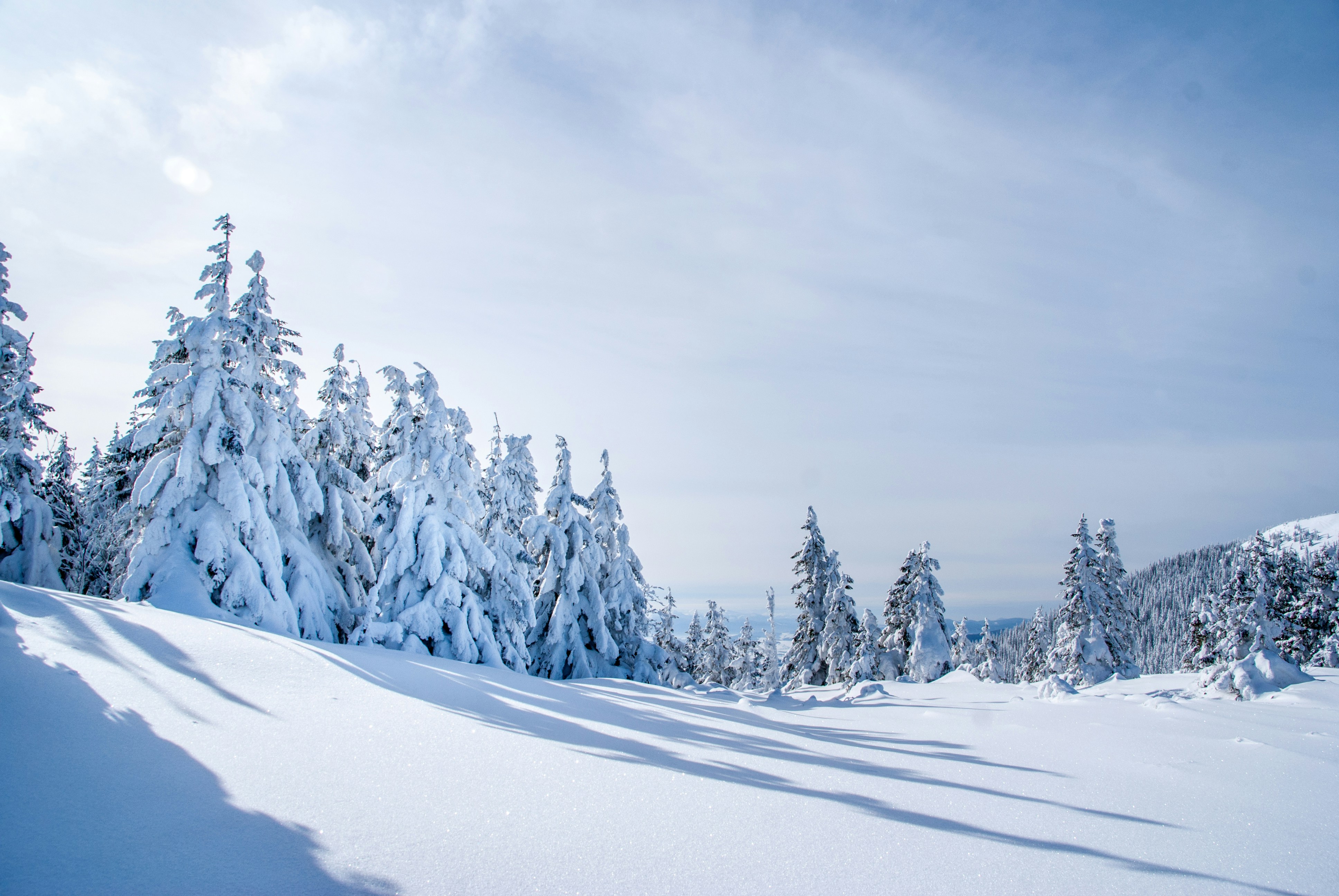 SAALBACH Skitourengruppe Neutral shutterstock_342604946.jpg